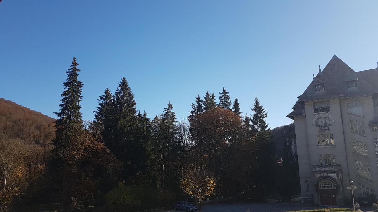 Bulevard 2* Sinaia